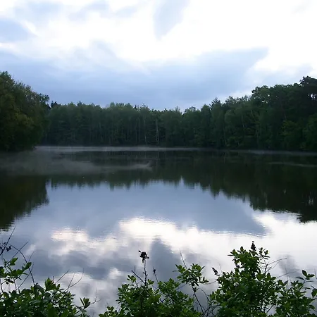 Lovecky Jivak Loučeň