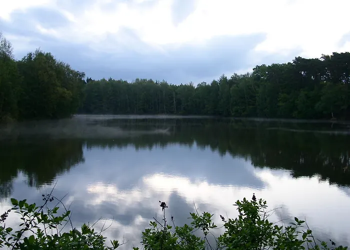 Lovecky Jivak Loučeň
